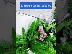 Clear Plastic PC Awning Canopy Polycarbonate Air Conditioner Awning