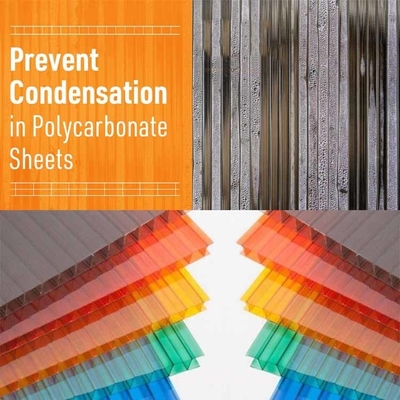 6mm Brown POLYGAO Polycarbonate 2-wall Sheet All-season Performance Fire Resistant Hail Proof Polycarbonate Sheet