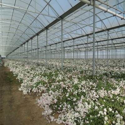 Winter Reusable Polycarbonate Greenhouse Sheet , Foldable Greenhouse PC Sheets
