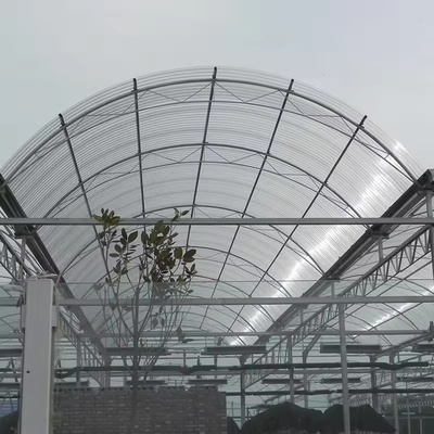 8mm Polycarbonate Greenhouse Sheet Foldable Covering Multi Span 15x30 With Hydroponic System