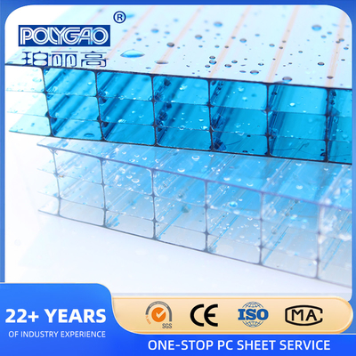 Composite Co Extrusion 2mm 4mm 6mm 8mm 10mm 12mm 14mm 16mm Cellular Polycarbonate Hollow Sheet for Various Applications